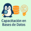 Ícono De Base De Datos Con Conexiones Digitales Que Representan Almacenamiento Y Gestión De Información.